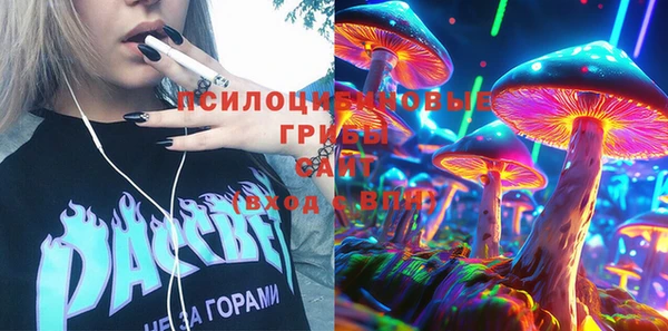 гидра Кулебаки