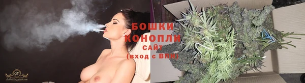 гидра Кулебаки