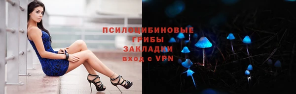 гидра Кулебаки