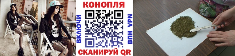 Канабис план  Иланский 